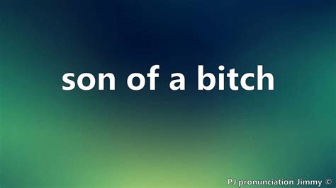 f95zone son of a bitch|How to pronounce SON OF A BITCH in English .